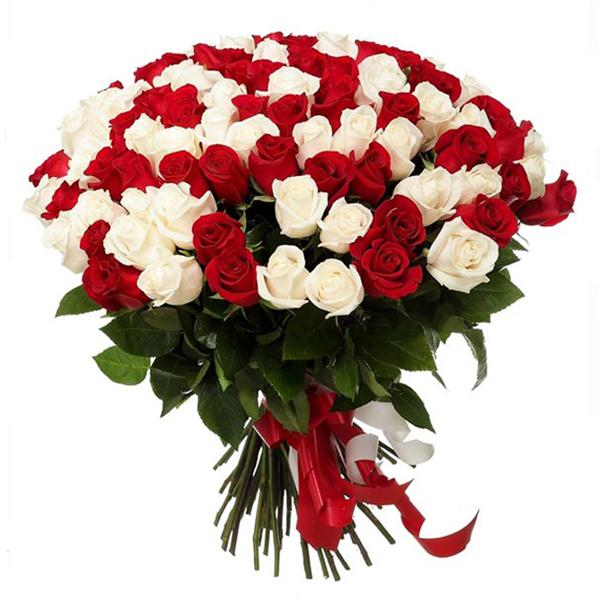 Bouquet of 101 Red White Roses