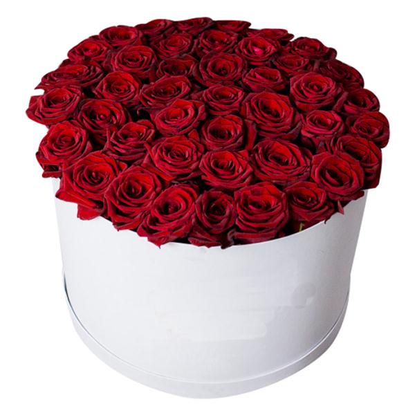 Cylinder Box 51 Red Rose